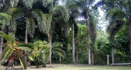 Guesthouse Surrounded By Trees