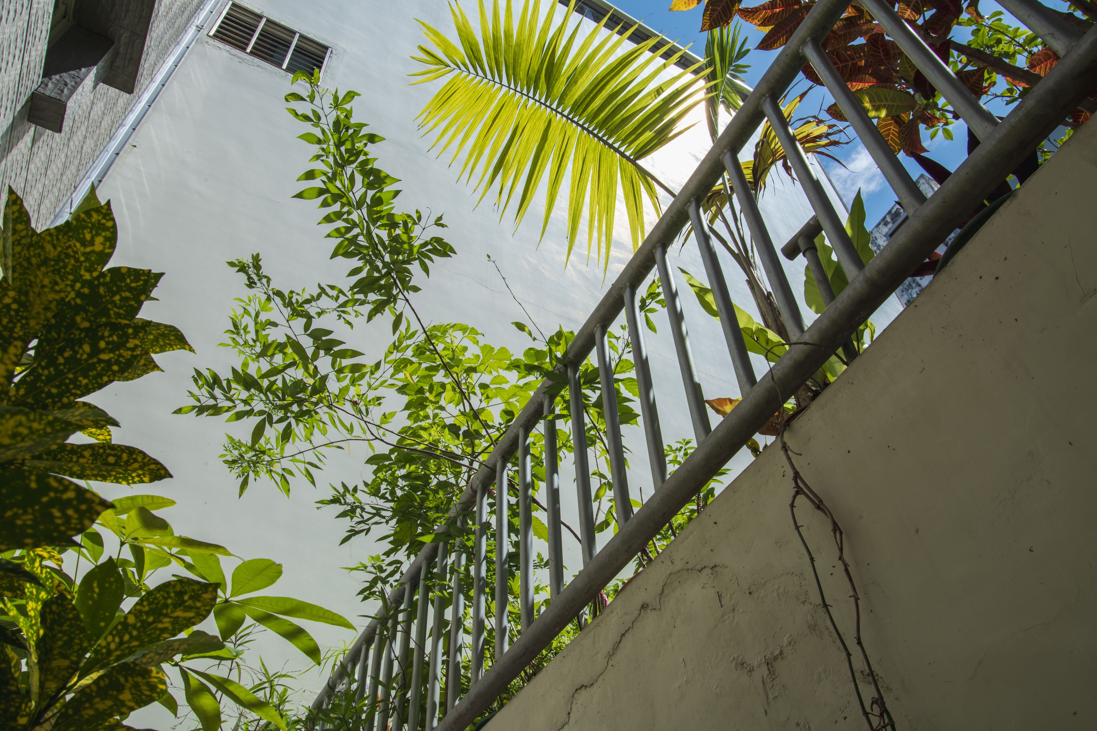 A view of a building's exterior with a metal fence, greenery, and a clear sky.