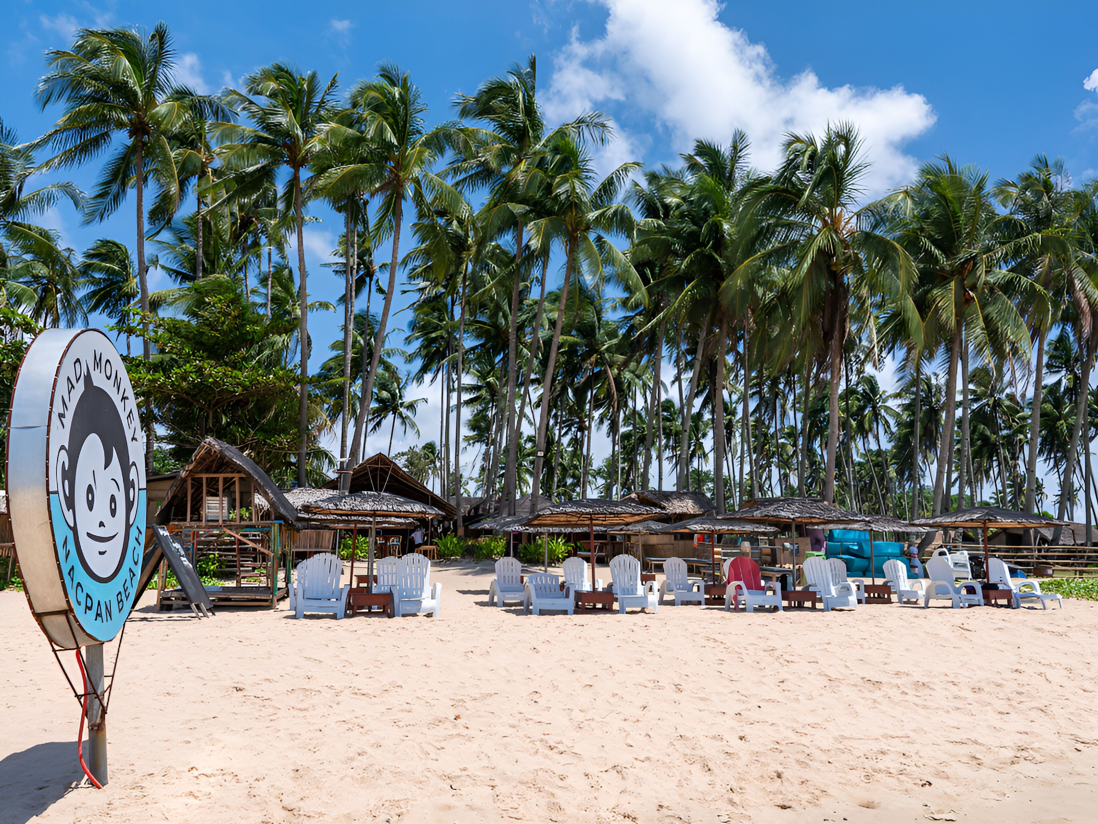 A beach with palm trees, beach chairs, and a sign with a cartoon character.