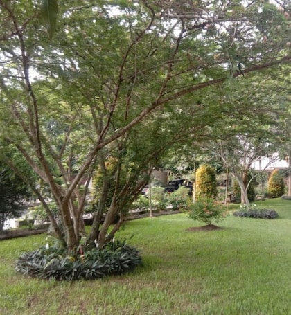 ๋ฌด๋ฃ ์
ํ ์ฃผ์ฐจ