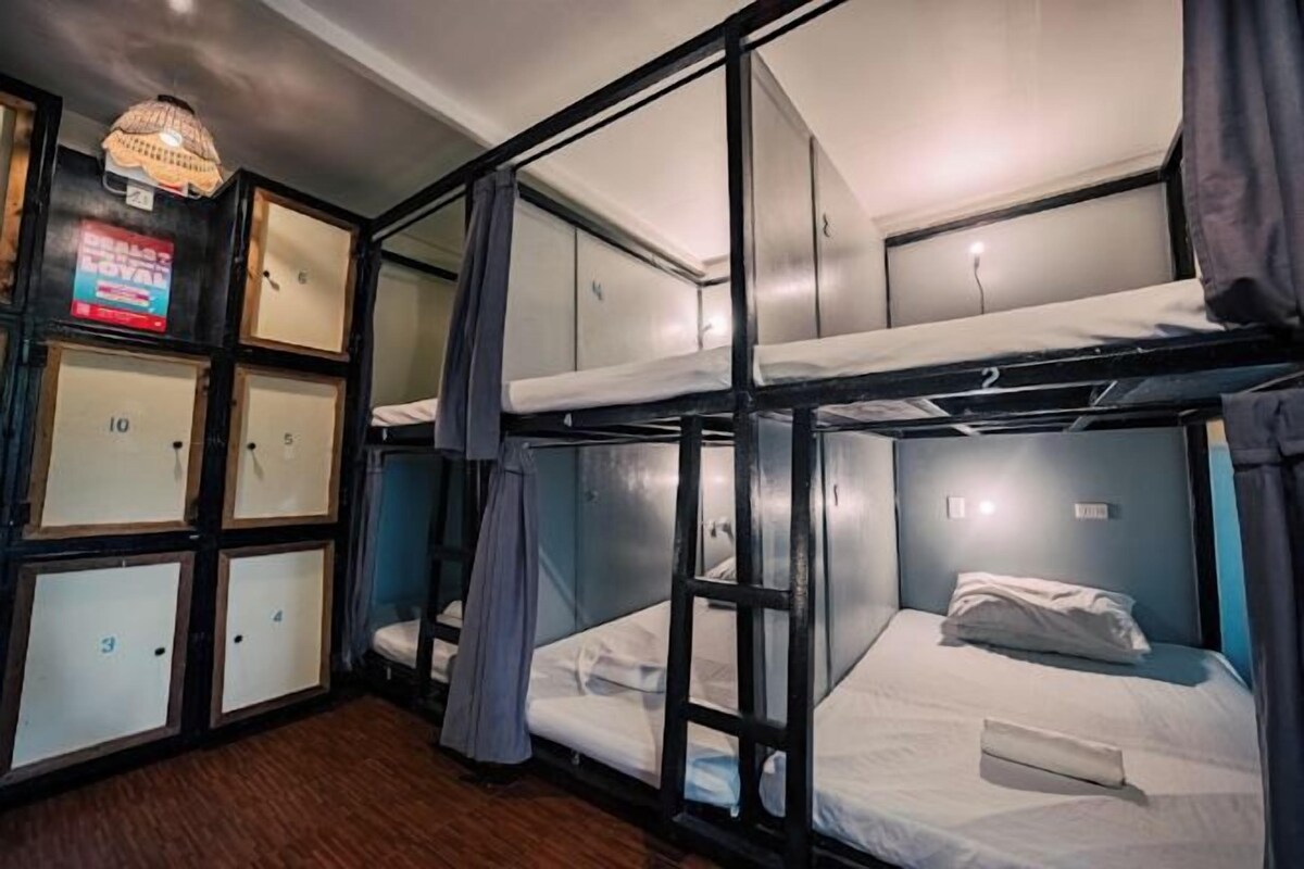 A dormitory-style room with bunk beds, a small desk, and a window with curtains.
