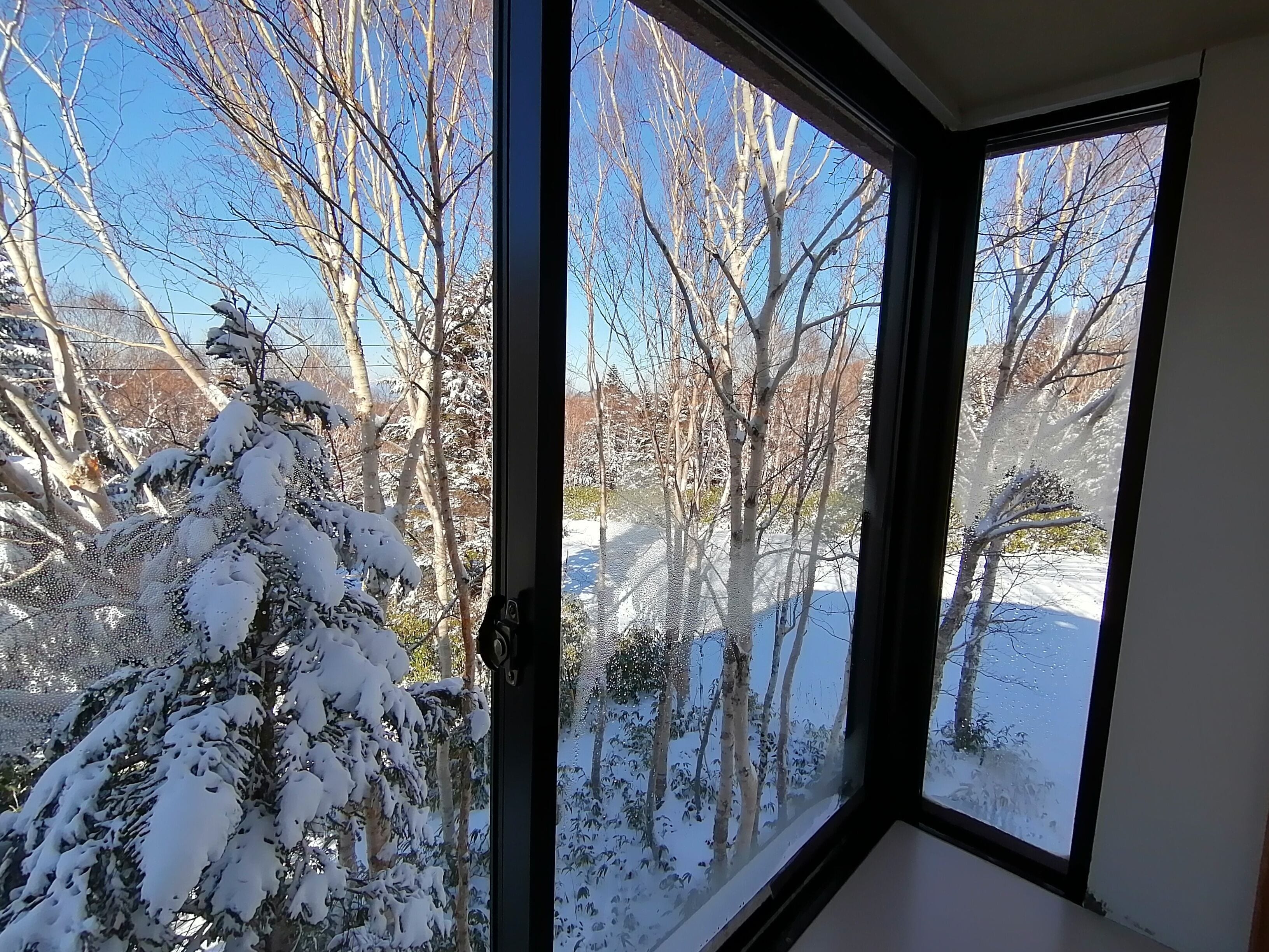 Quarto tradicional (JP Style for 6 Guests, Private Toilet) | Vista para a montanha