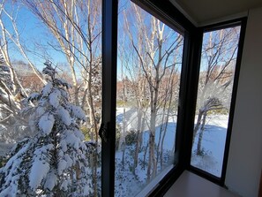 Mountain view - New Yokote (Yamanouchi)