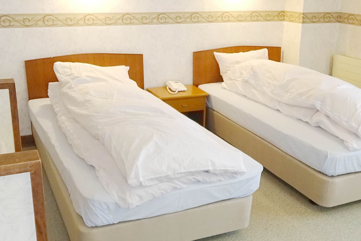 Down duvets, free WiFi, bed sheets