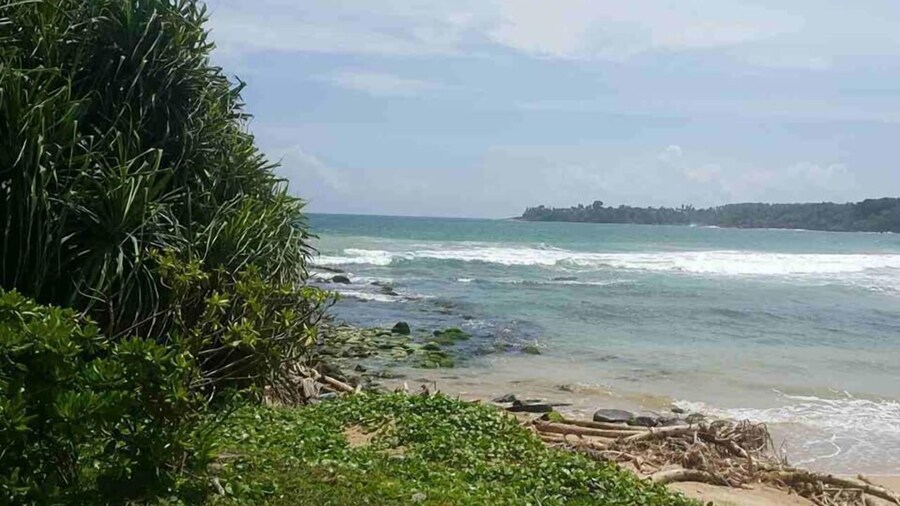 Palm Hill Guest House