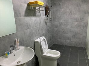 Douche, séchoir à cheveux, bidet, serviettes fournies