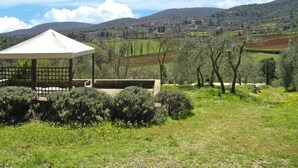 A gazebo in a grassy field with a view of rolling hills and scattered trees. - Charming House in Tuscany with Pool & Views (Sovicille)