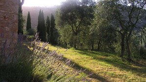 A rustic stone building with a sloped roof, surrounded by a lush garden with tall cypress trees and lavender plants. - Charming House in Tuscany with Pool & Views (Sovicille)