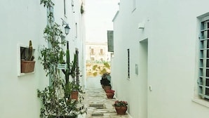 A narrow stone-paved alleyway flanked by white buildings with potted plants and a cactus. - Santa Marina Bed & Breakfast (Massafra)