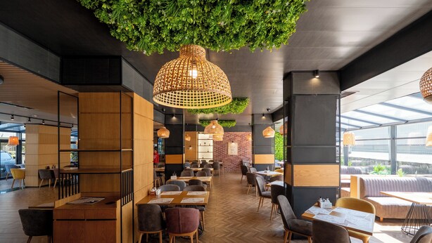 Un café moderno con mobiliario de madera, plantas verdes colgantes y grandes lámparas colgantes.