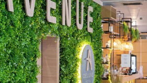Zona de recepción con pared verde, panel de madera y un cartel que dice "AVENUE DELUXE HOTEL".
