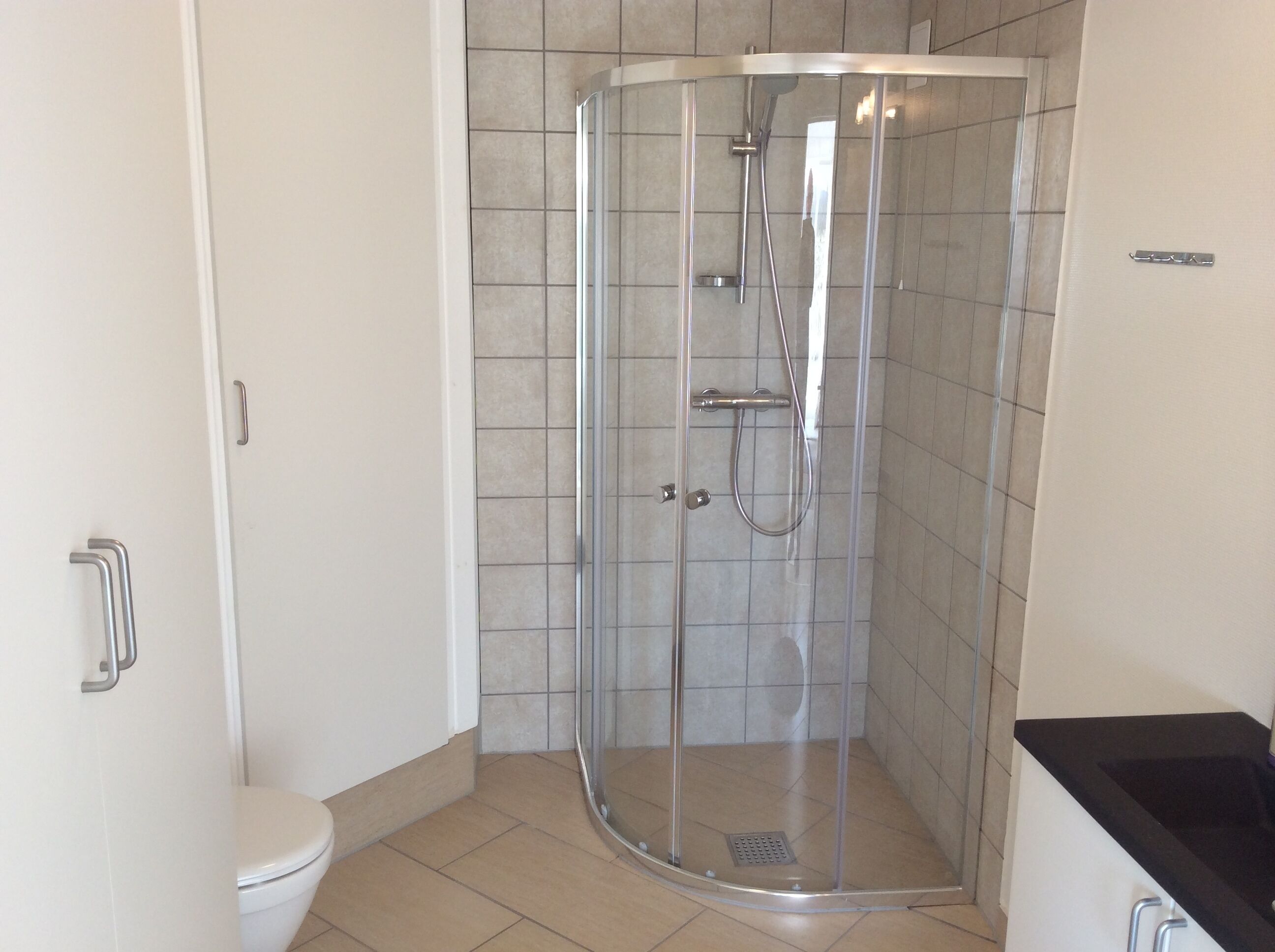 A modern bathroom with a glass-enclosed shower, a toilet, and a black countertop.