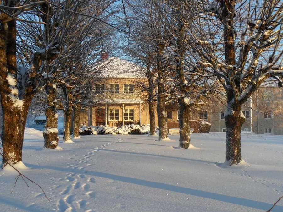 A snow-covered landscape with bare trees and a building in the background.
