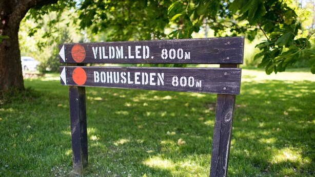 Un panneau de signalisation en bois, avec des flèches indiquant la direction de « VILDM.LED, 800 m » et de « BONUSLEDEN, 800 m ».