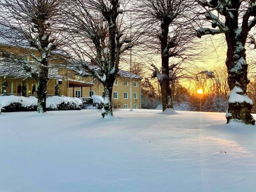 A snow-covered landscape with bare trees and a building in the background.