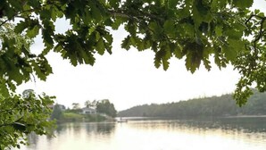 Ein ruhiger See mit einem Boot, das auf dem Wasser treibt, umgeben von Felsen und Bäumen.
