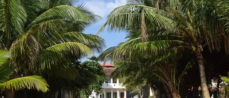 Vista frontal de la propiedad