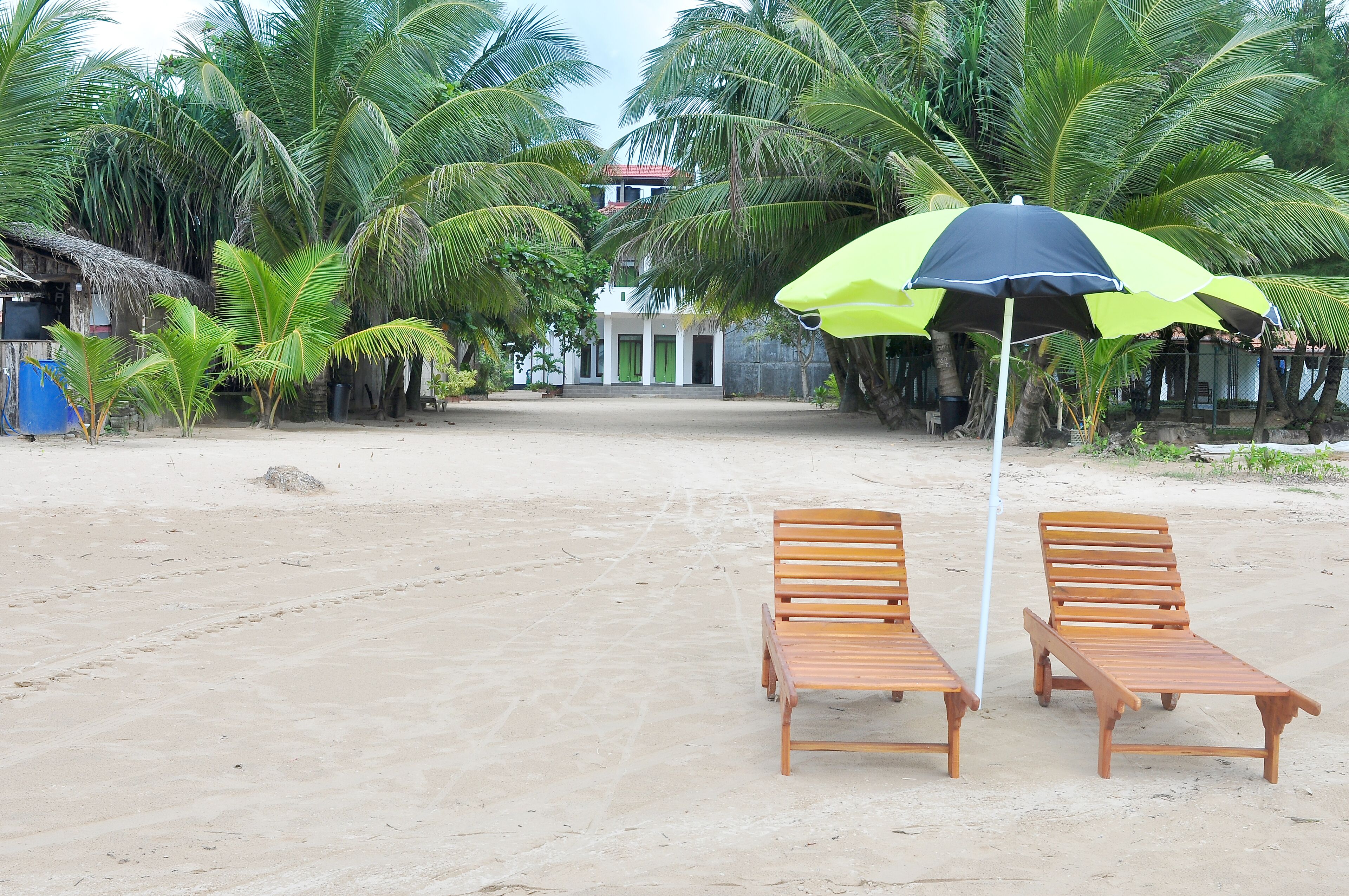 Une plage avec deux chaises longues en bois et un parasol vert et noir.