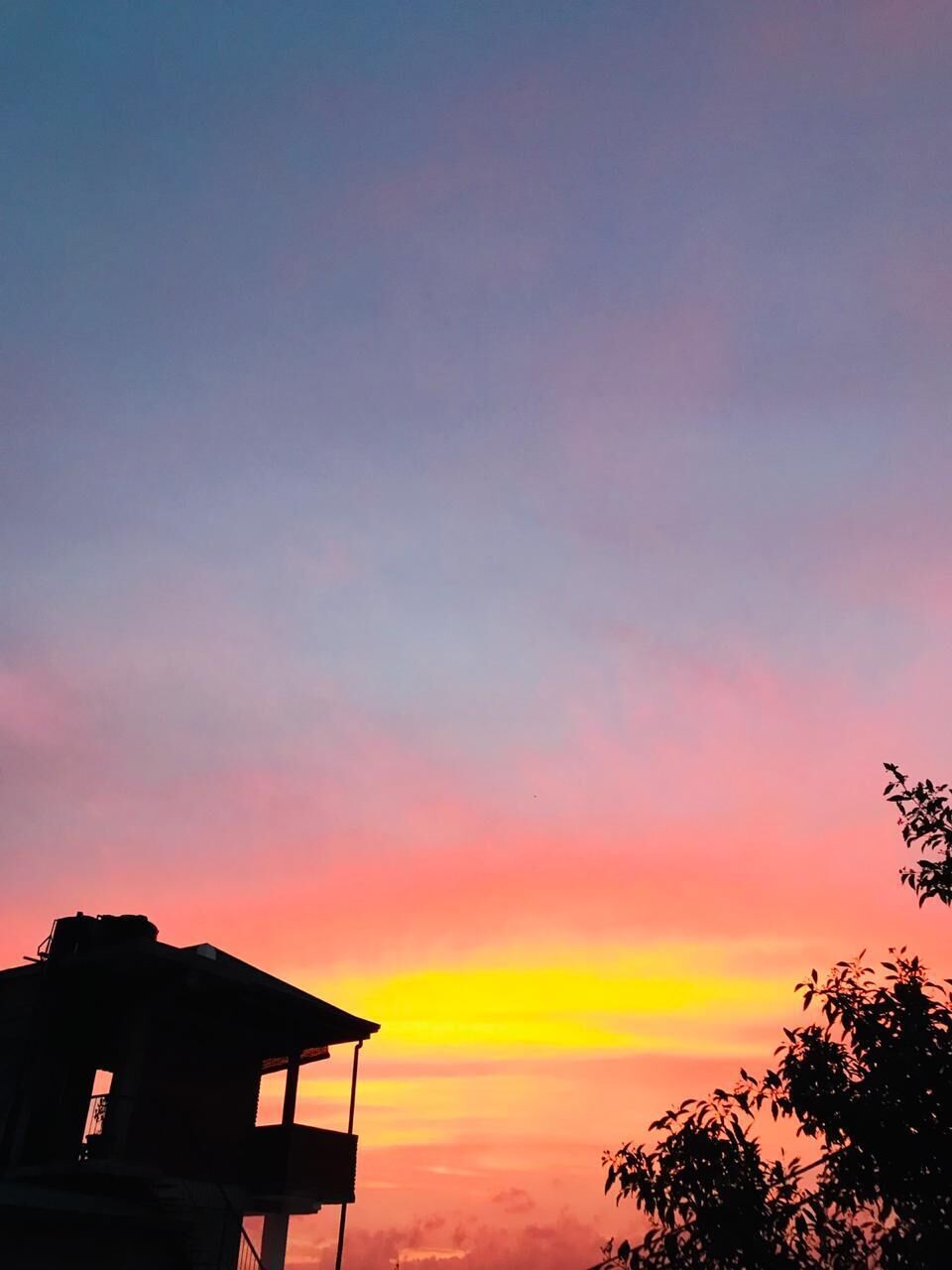 A sunset with a silhouette of a building and trees.
