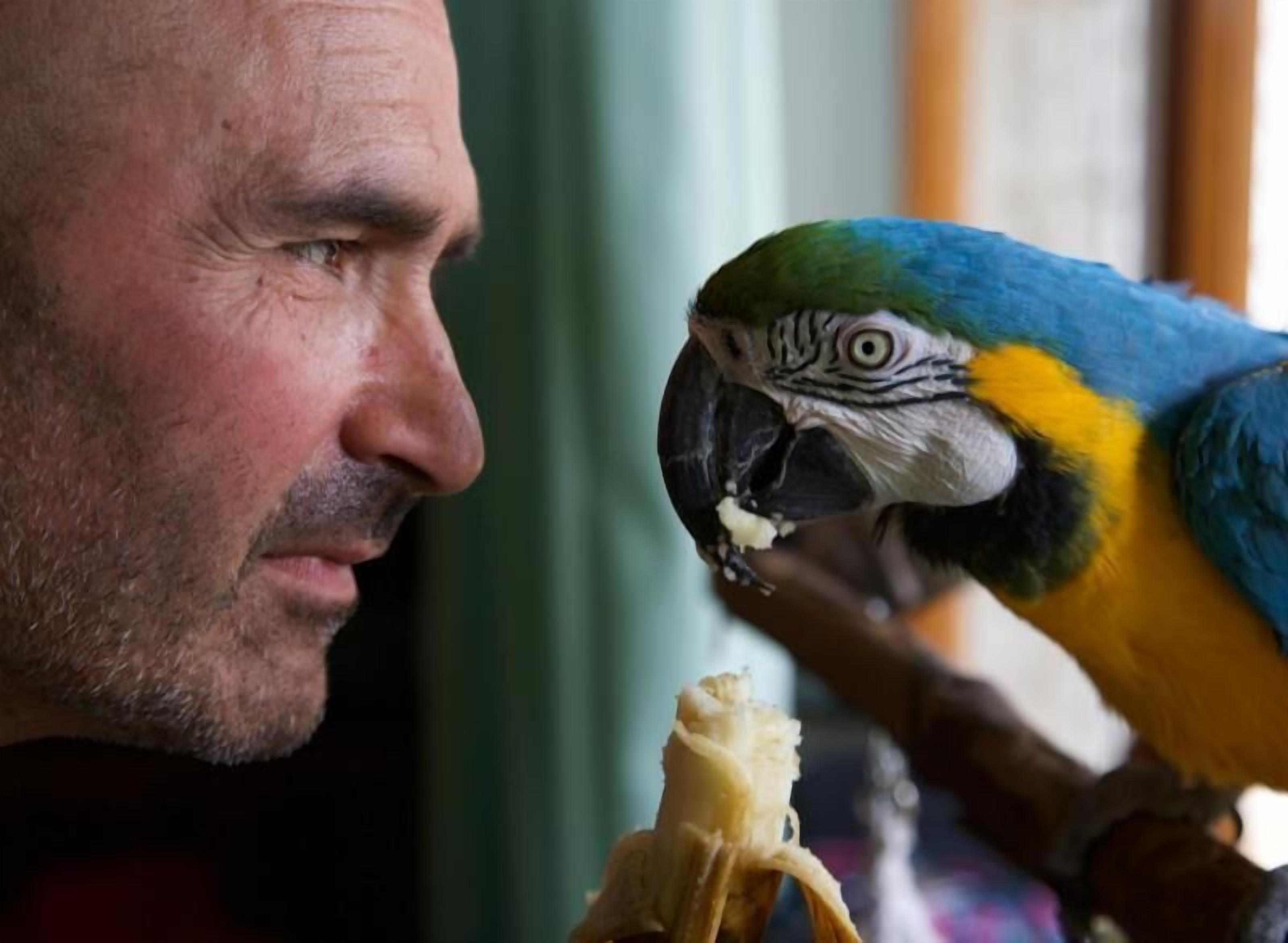 Photo - Eden Park Hotel