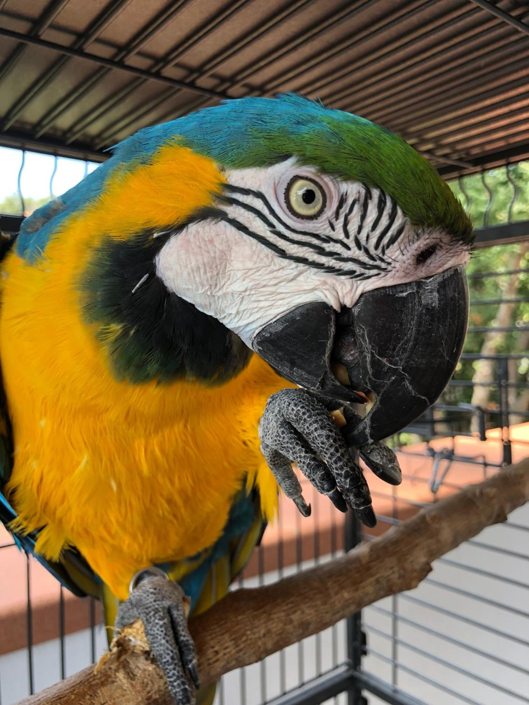 Photo - Eden Park Hotel