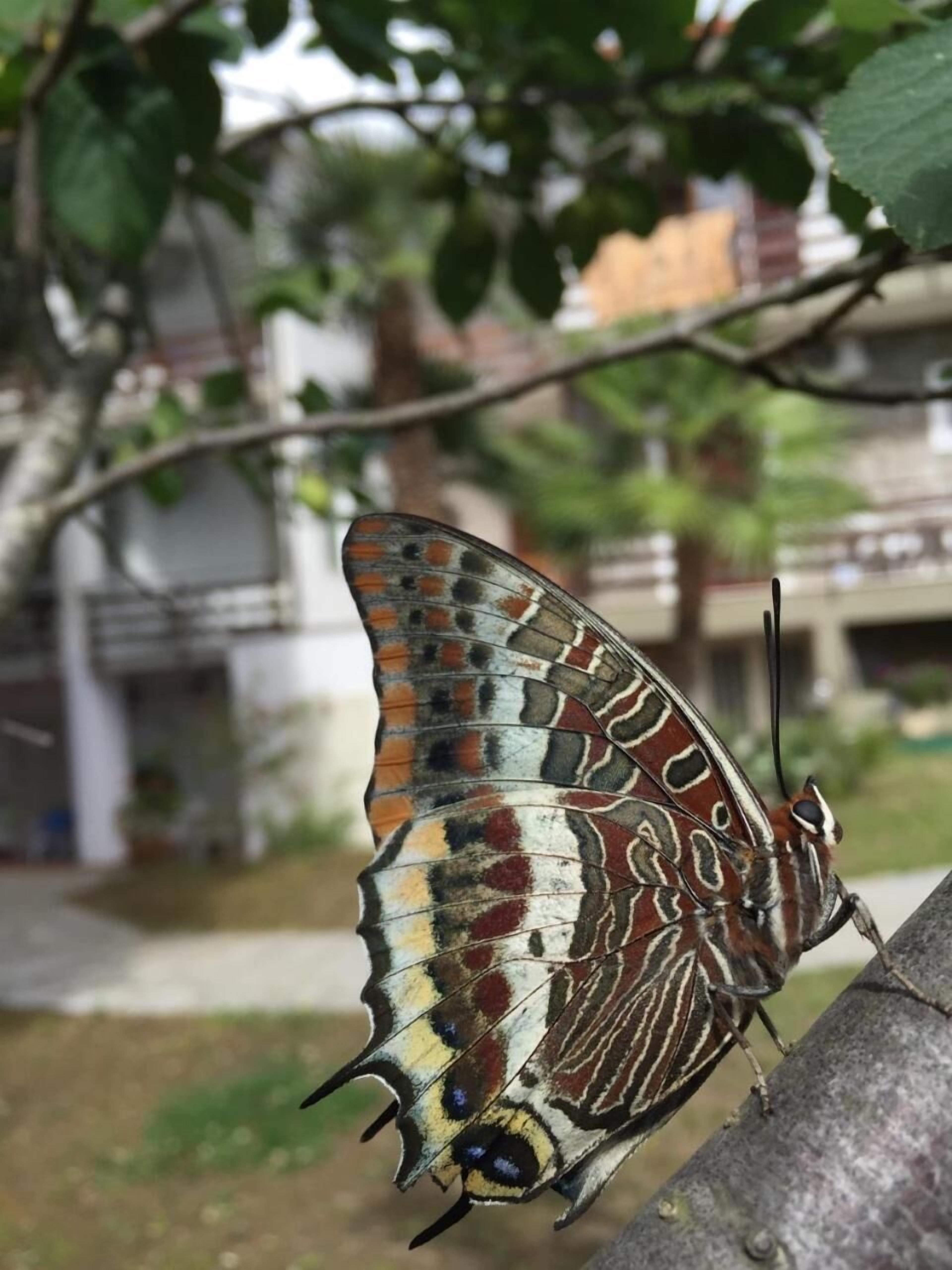 Photo - Eden Park Hotel