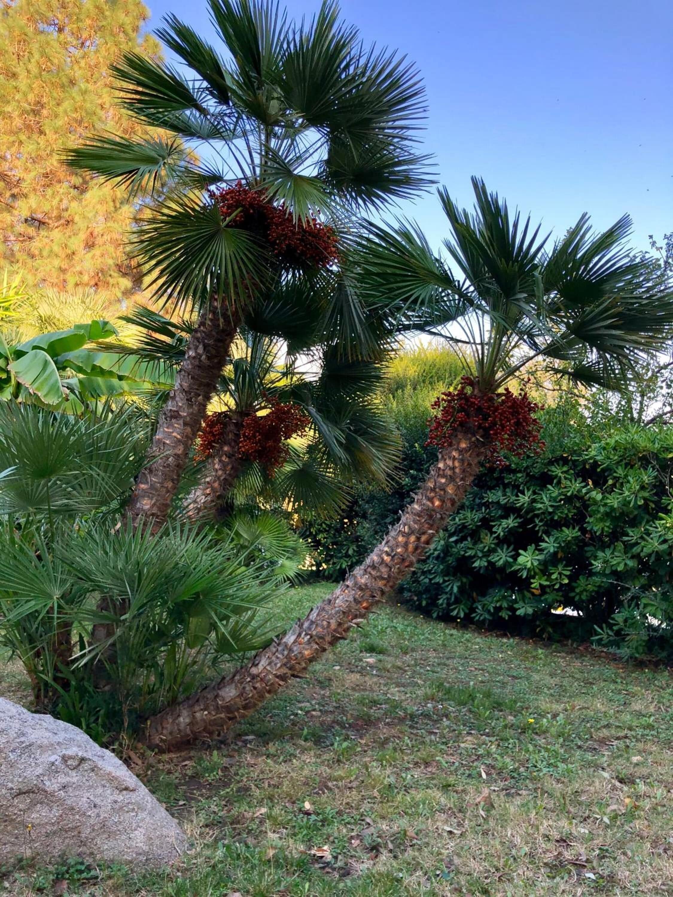 Photo - Eden Park Hotel