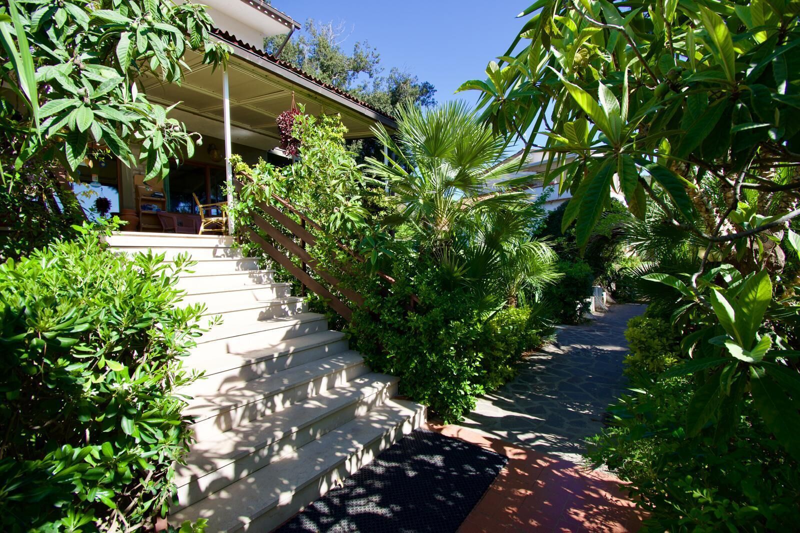 A staircase leading to a covered porch surrounded by lush greenery.