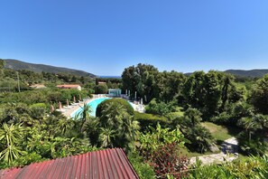 Una piscina rodeada de abundante vegetación y un edificio con techo rojo.