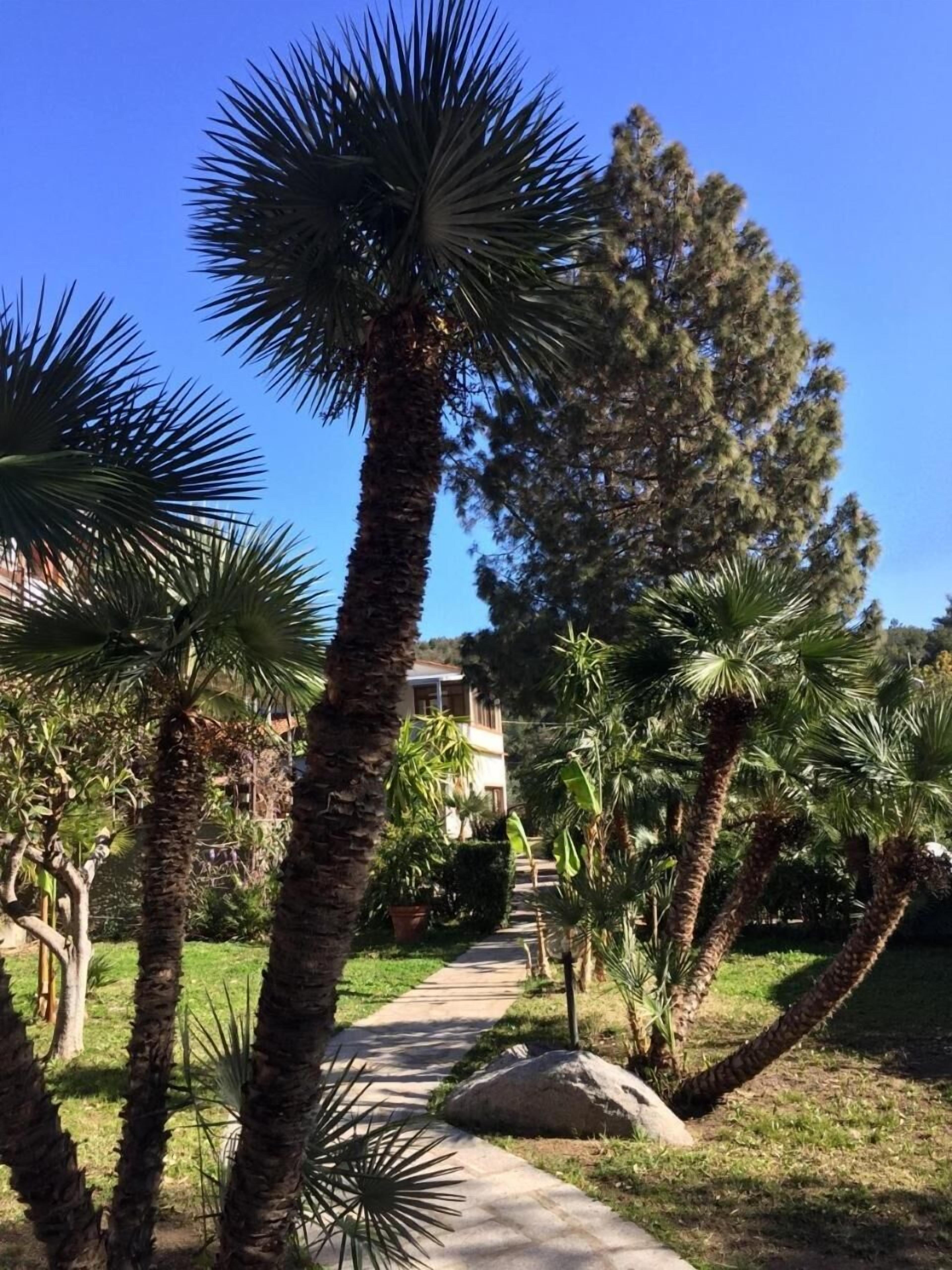 Photo - Eden Park Hotel