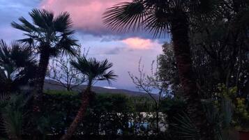 Un jardín con palmeras y un camino de piedra.