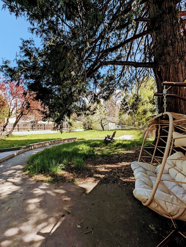 A park with a swing chair under a large tree, a paved path, and a grassy area.