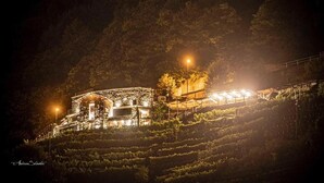 A building with a glass facade, surrounded by a vineyard, and illuminated by street lamps.