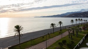 Une route côtière bordée de palmiers, avec vue sur la mer.