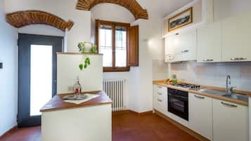 Fridge, oven, stovetop, cookware/dishes/utensils