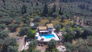 A villa with a swimming pool surrounded by olive trees and a stone wall. - Villa Niriides (Lefkada)
