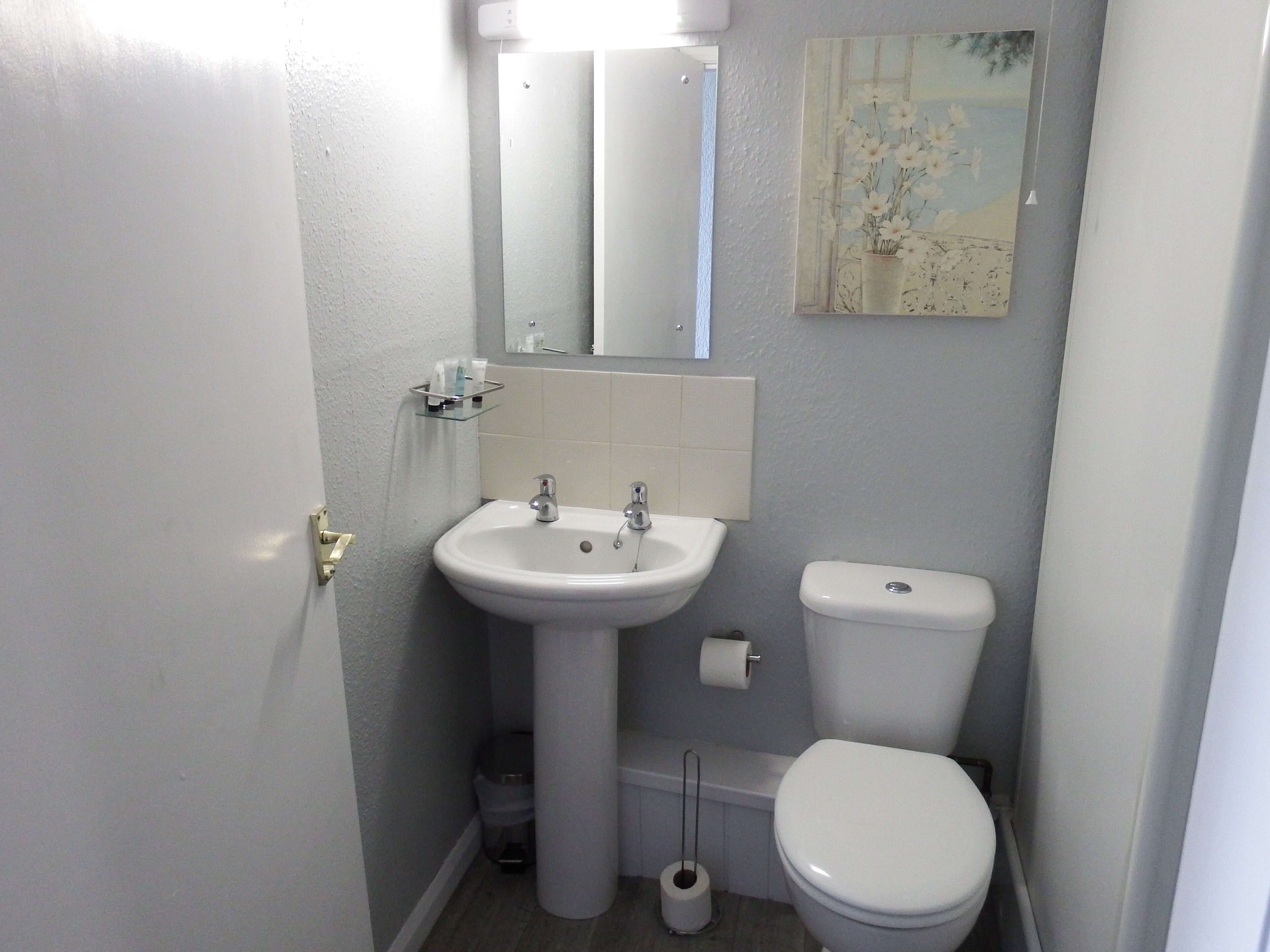 A small bathroom with a white sink, a toilet, and a mirror above the sink.