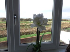 Comfort Double Room | Individually decorated, individually furnished, bed sheets - The Haven Inn (Barrow upon Humber)