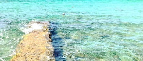 Una spiaggia nelle vicinanze