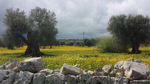 Esterni