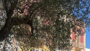 Un espace de restauration en plein air, avec une table dressée pour un repas, entouré de verdure et bordé d’un bâtiment aux murs jaunes et rouges.