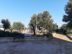 Blick auf den Garten