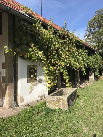 Spacious historic manor, garden. Excellent restaurants close by. Pets welcome.