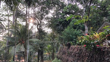 Jardines del alojamiento