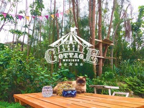 Situated amidst lush greenery, the Star Ferry Cottage features a charming outdoor setting with a table and a resident cat.