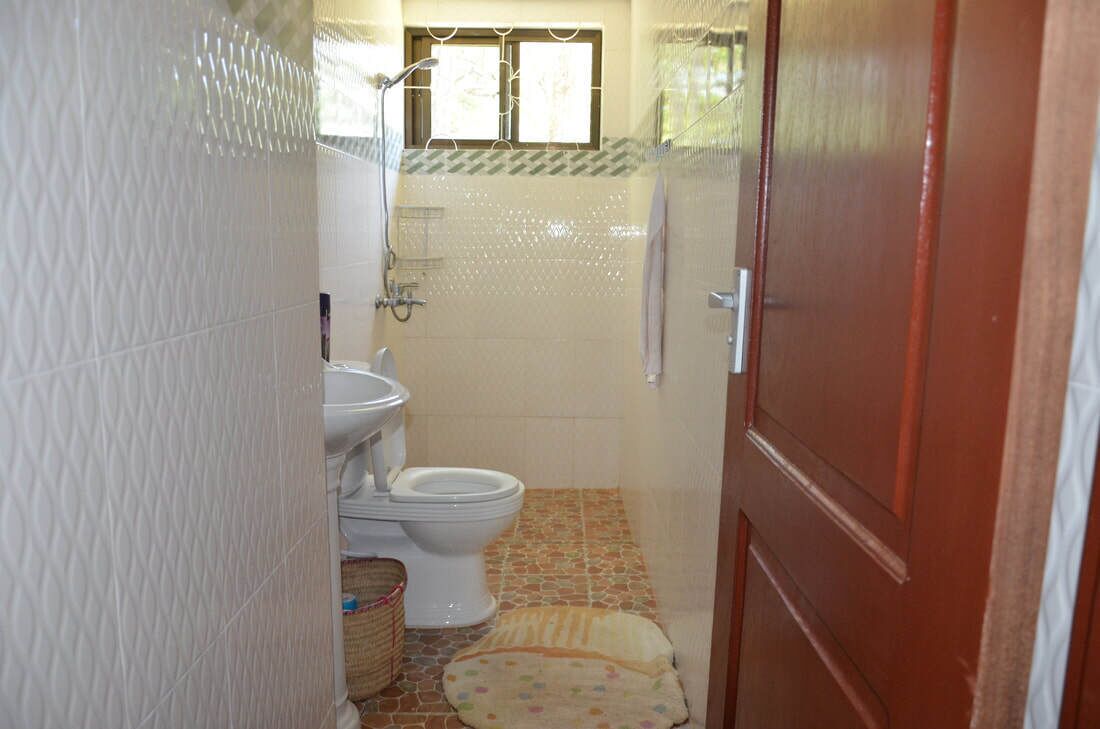Buồng tắm vòi sen, vòi sen phun mưa, khăn tắm, giấy vệ sinh 