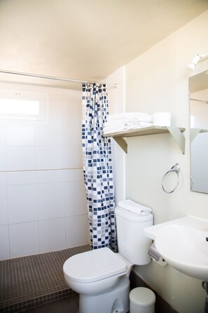 Combined shower/bathtub