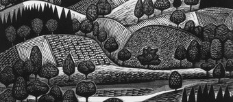 TerrazaMarEcoCabañas