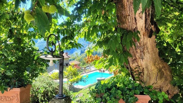 A garden with a stone lantern, a large tree, and a pool in the background. - Borgo Mulino,unique setting, private pool,  mountain views WIFI, walk restaurant (Vallico Sopra)