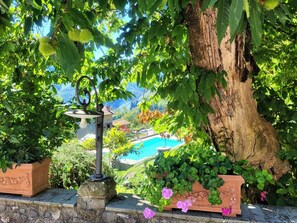 Ein Garten mit einer Steinlaterne, einem großen Baum und einem Pool im Hintergrund.